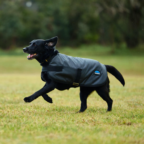 ComFiTec Classic Waterproof Dog Coat