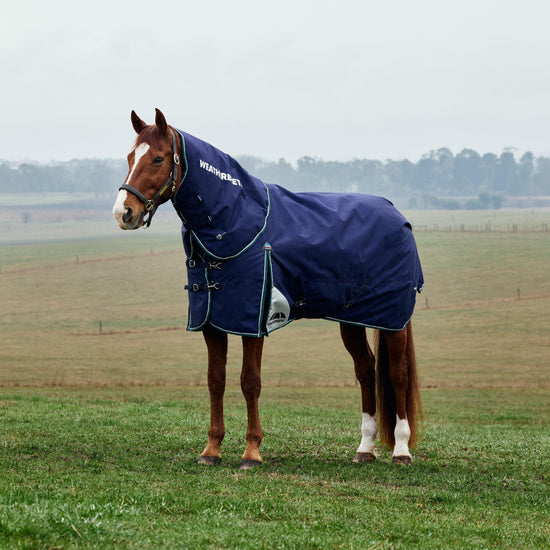 ComFiTec Plus Dynamic II Detach-A-Neck Mediumweight 220g Turnout Rug