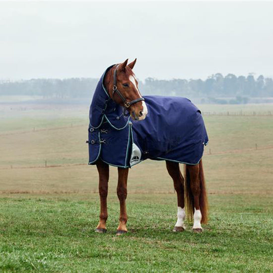 ComFiTec Plus Dynamic II Detach-A-Neck Mediumweight 220g Turnout Rug