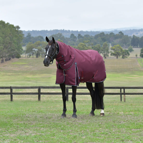 ComFiTec Essential Detach-A-Neck 220g Turnout Rug