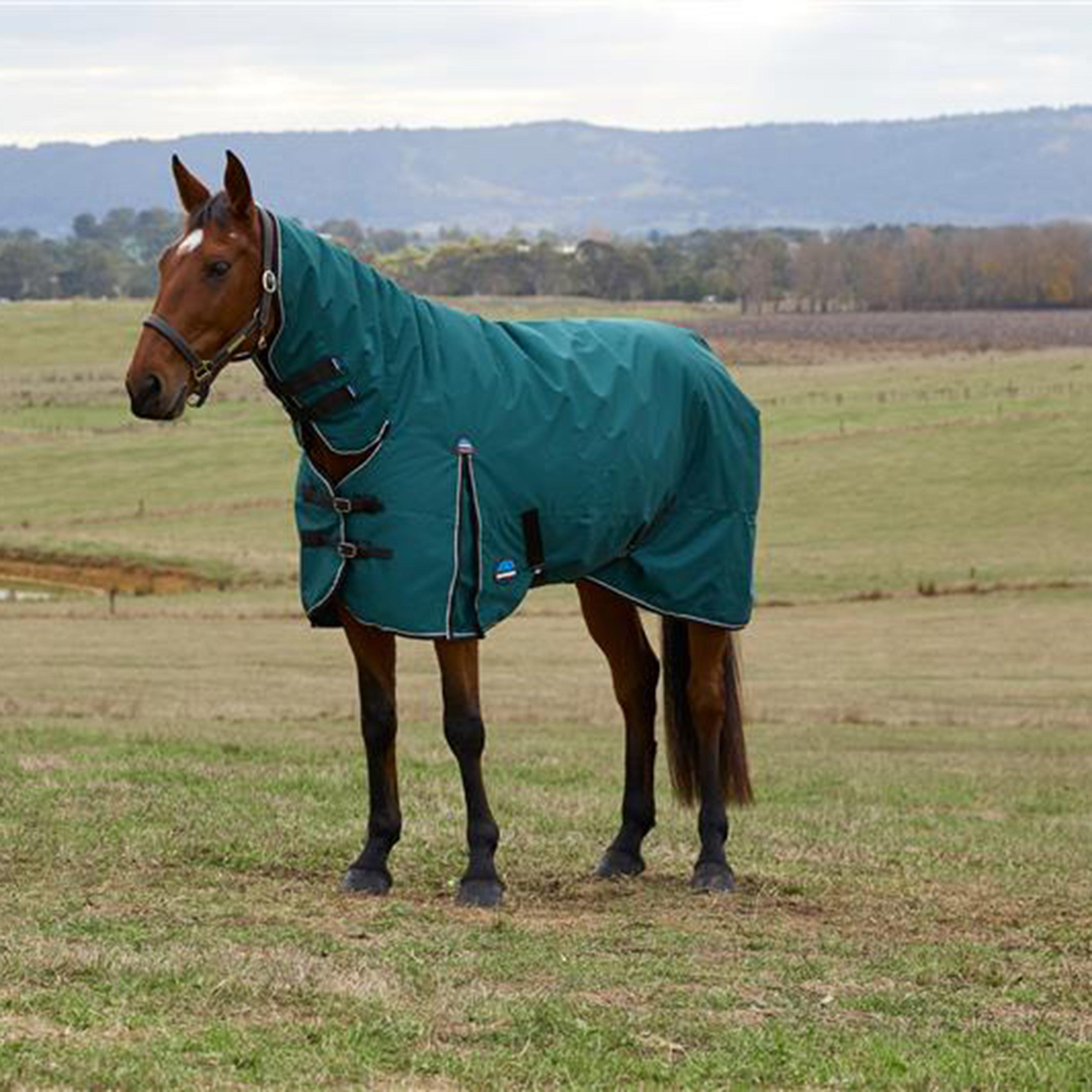 ComFiTec Classic Combo Neck Medium Turnout Rug
