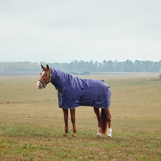ComFiTec Tyro Combo Neck 50g Lite Plus Turnout Rug