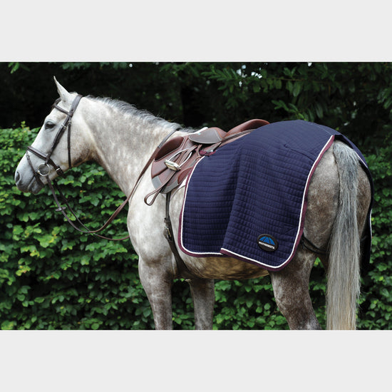 Thermocell Quarter Sheet