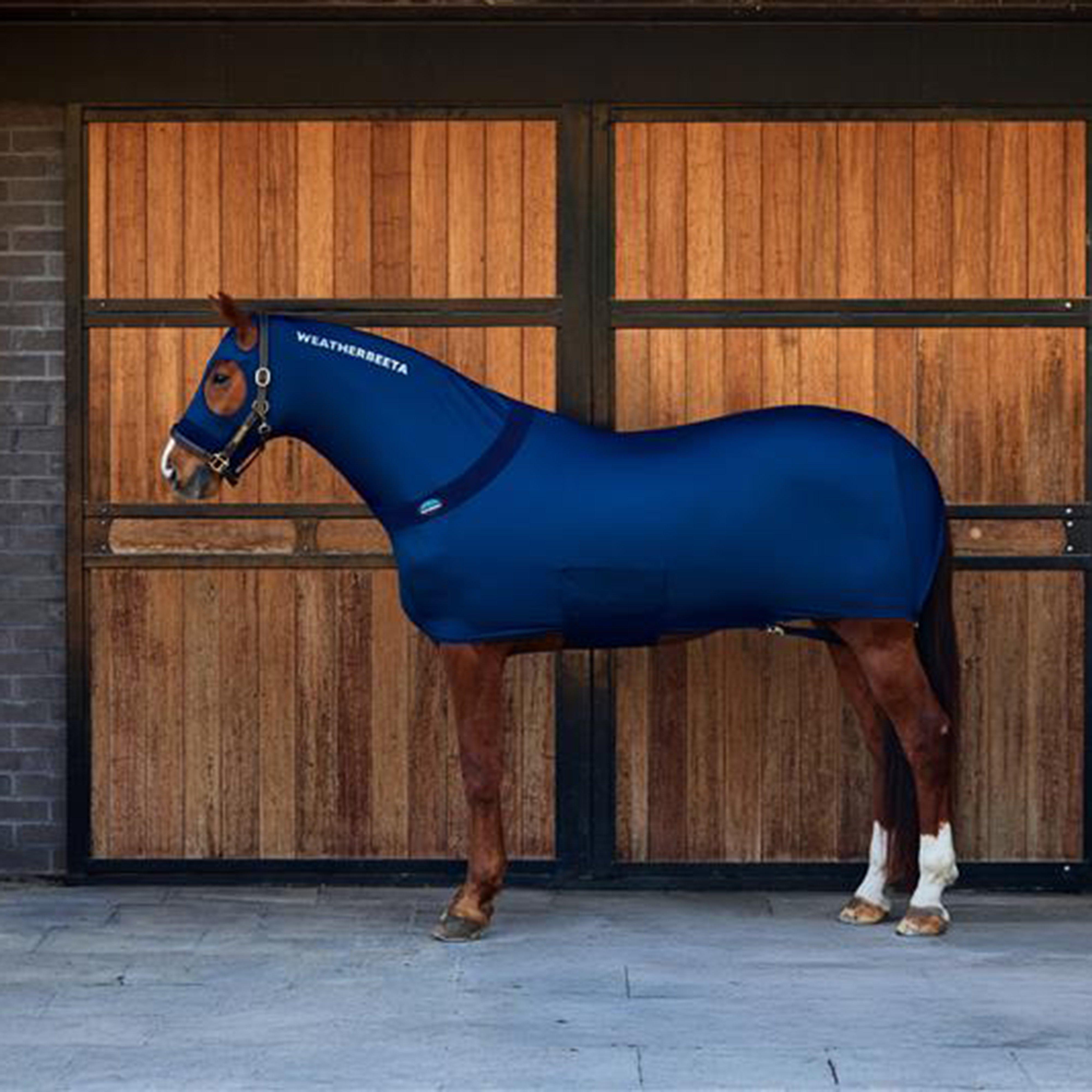 Stretch Rug