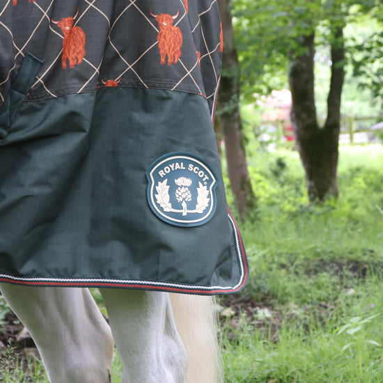 Original 100g Light Combo Neck Turnout Rug