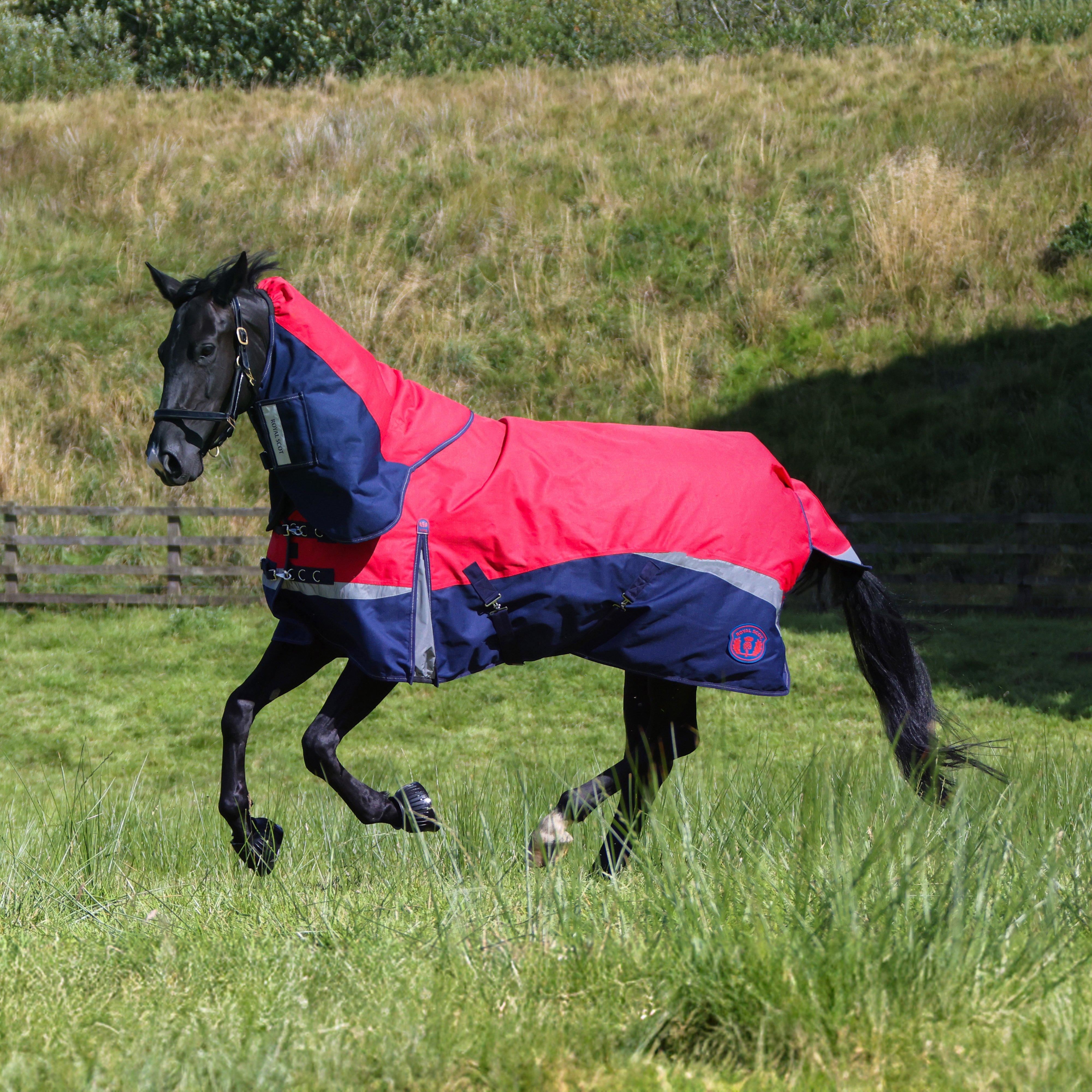 Pro 100g Turnout Rug