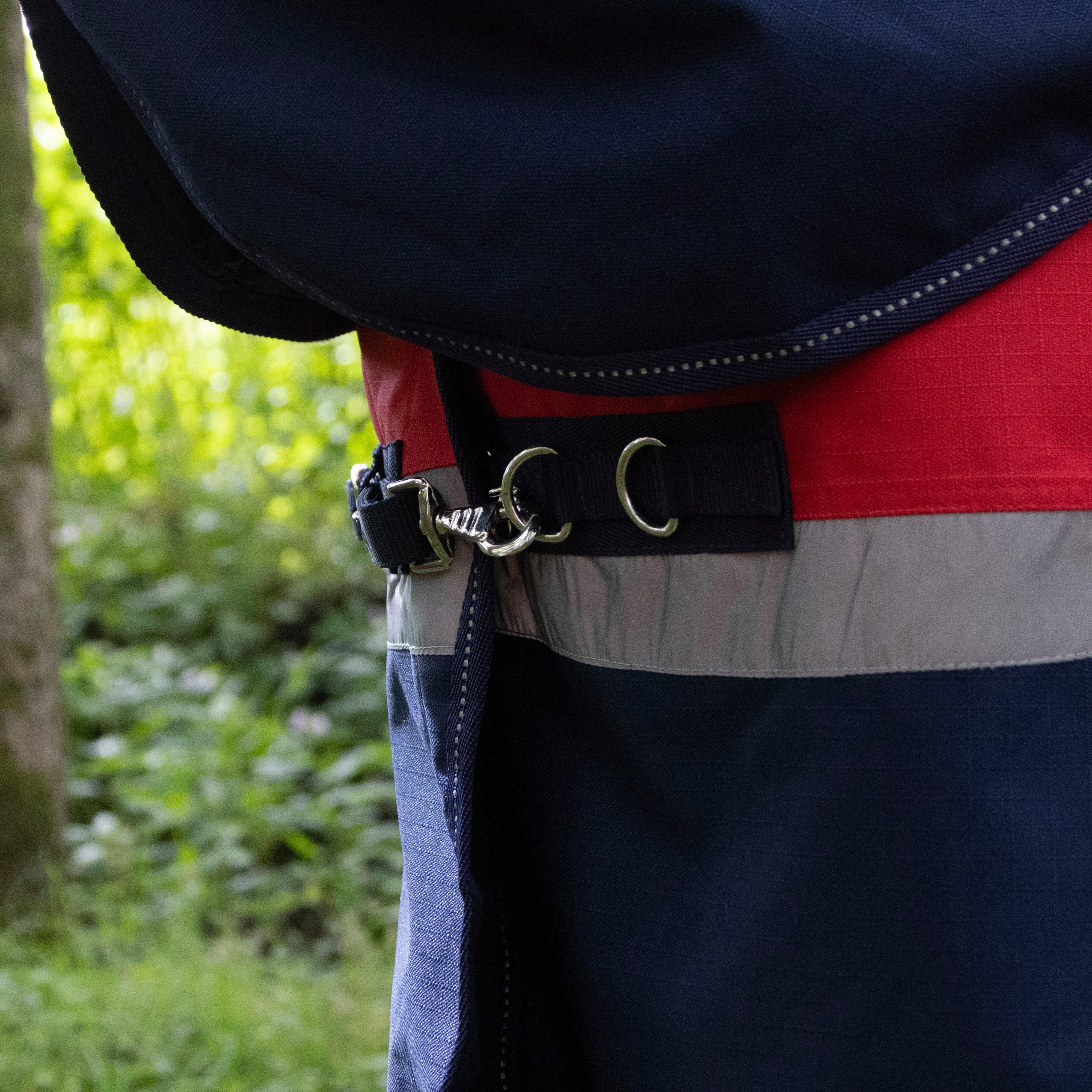 Pro 100g Turnout Rug