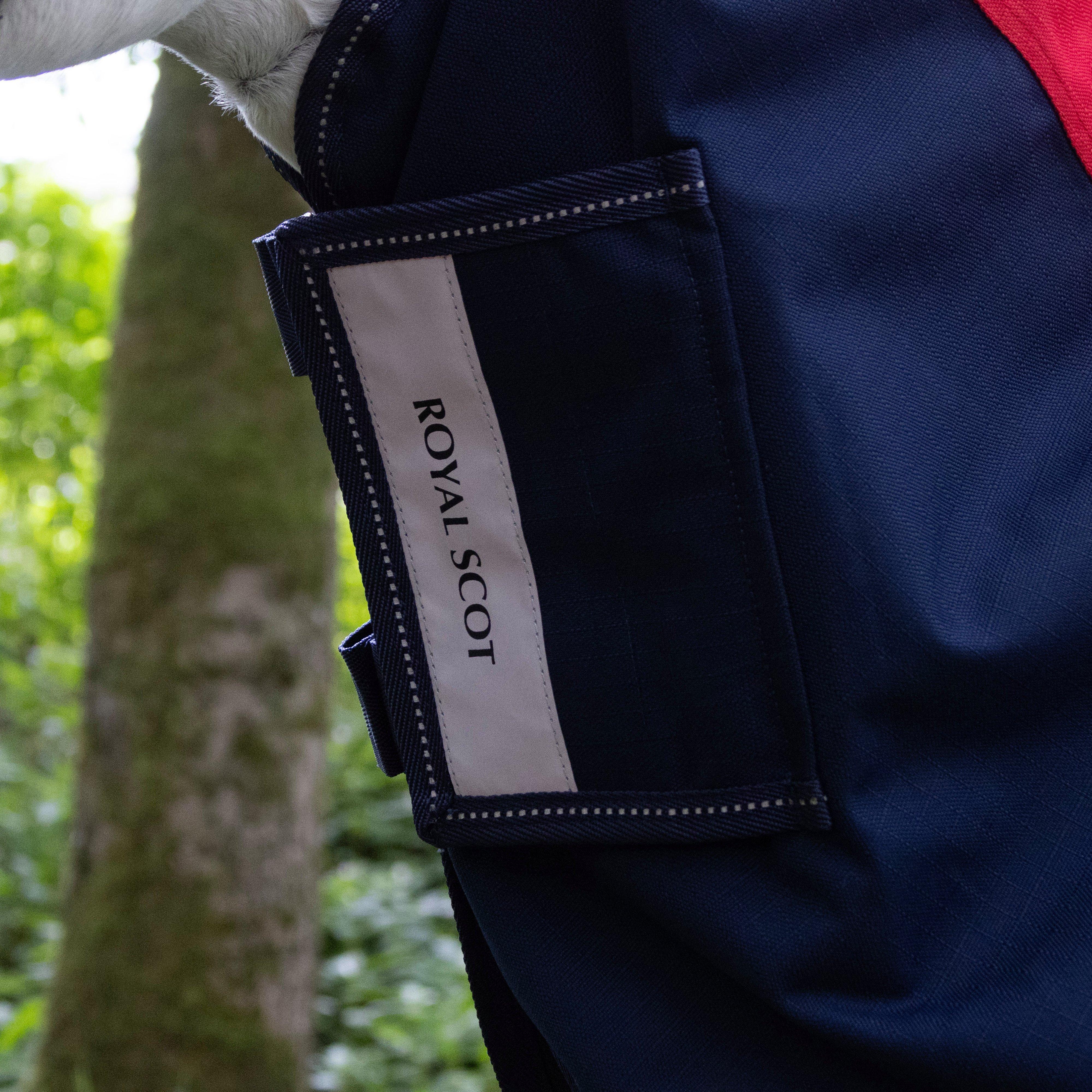 Pro 100g Turnout Rug