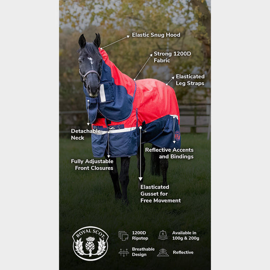 Pro 100g Turnout Rug