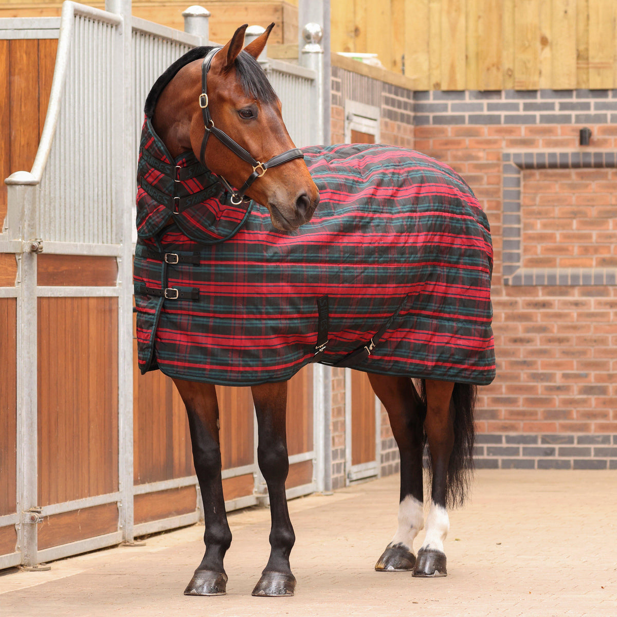 Tempest Plus 200 Stable Combo Rug