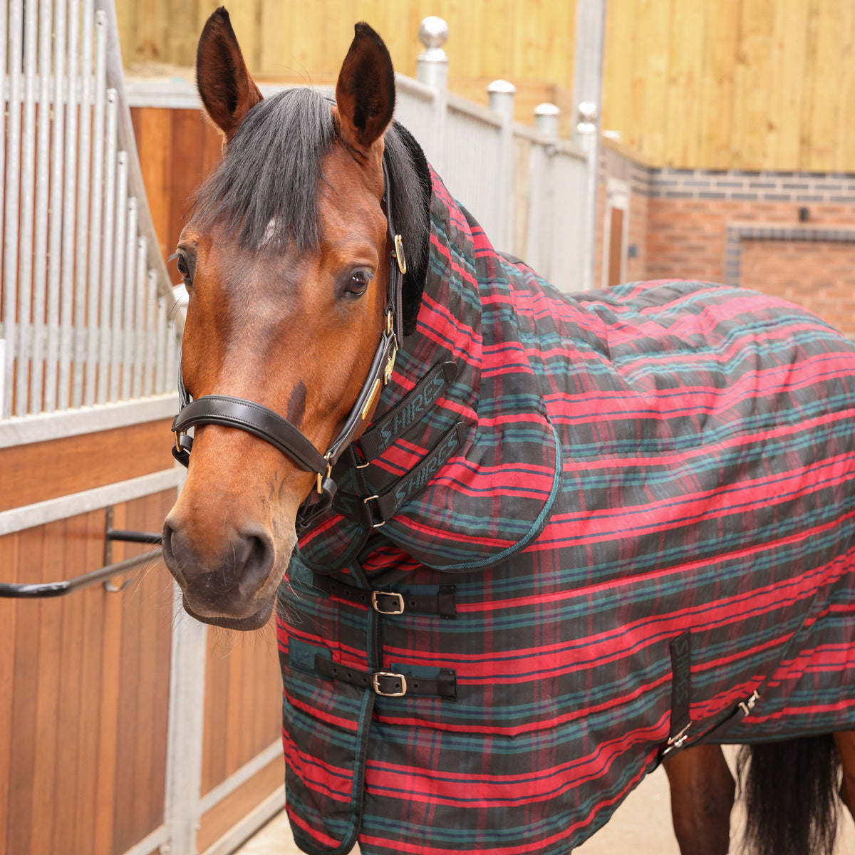 Tempest Plus 200 Stable Combo Rug