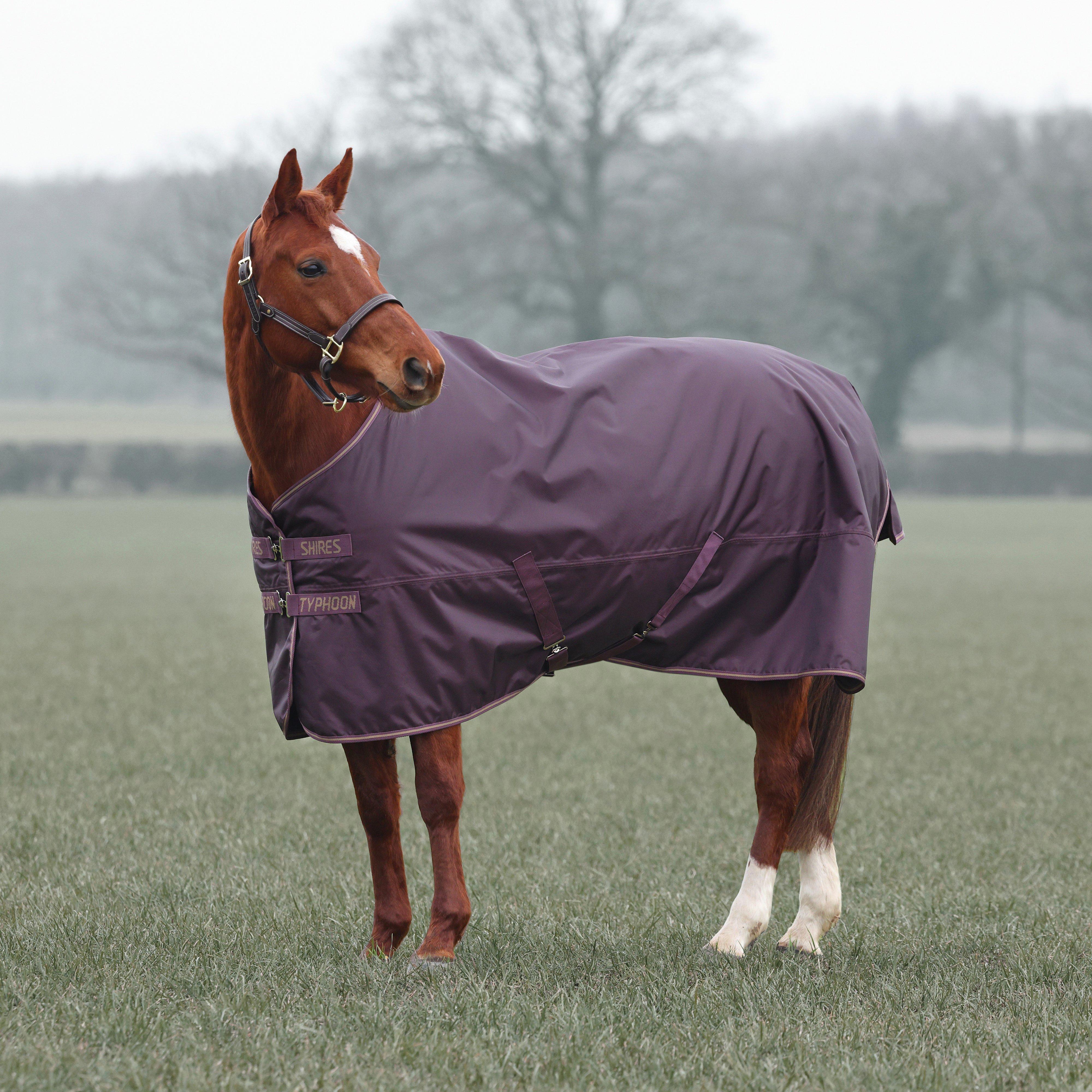 Typhoon 100g Standard Neck Turnout Rug