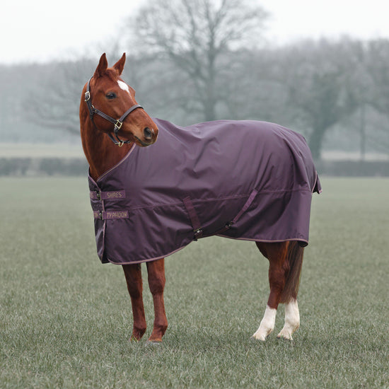 Typhoon 100g Standard Neck Turnout Rug