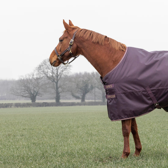 Typhoon 100g Standard Neck Turnout Rug