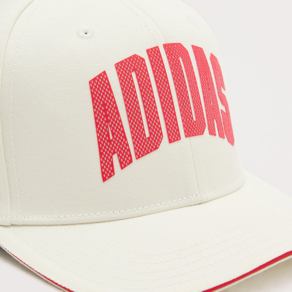 Stadium Trucker Hat