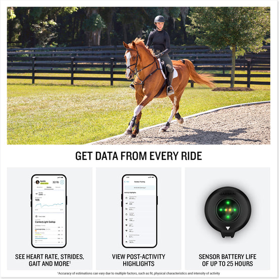 Blaze™ Equine Wellness System