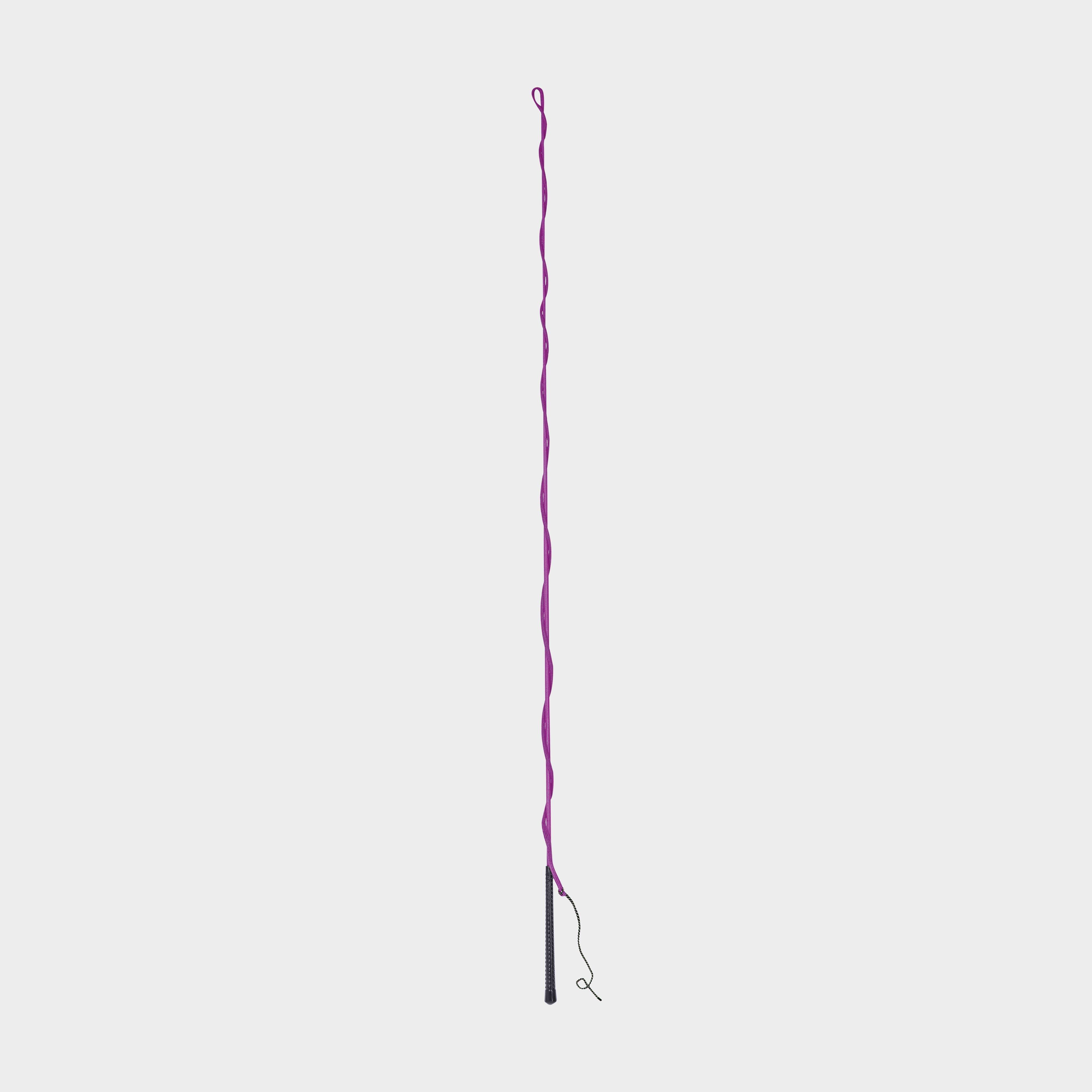 Brights Lunge Whip