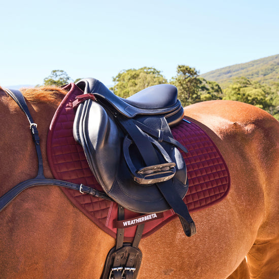 Prime Jump Saddle Pad