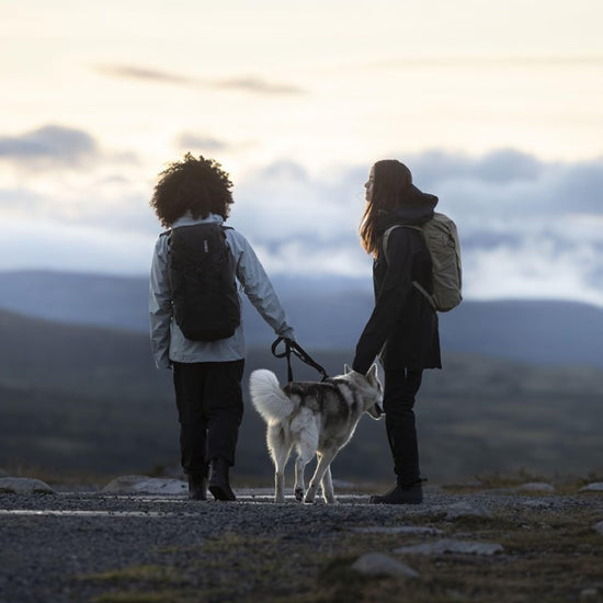 AllTrail Hydration Pack 16L