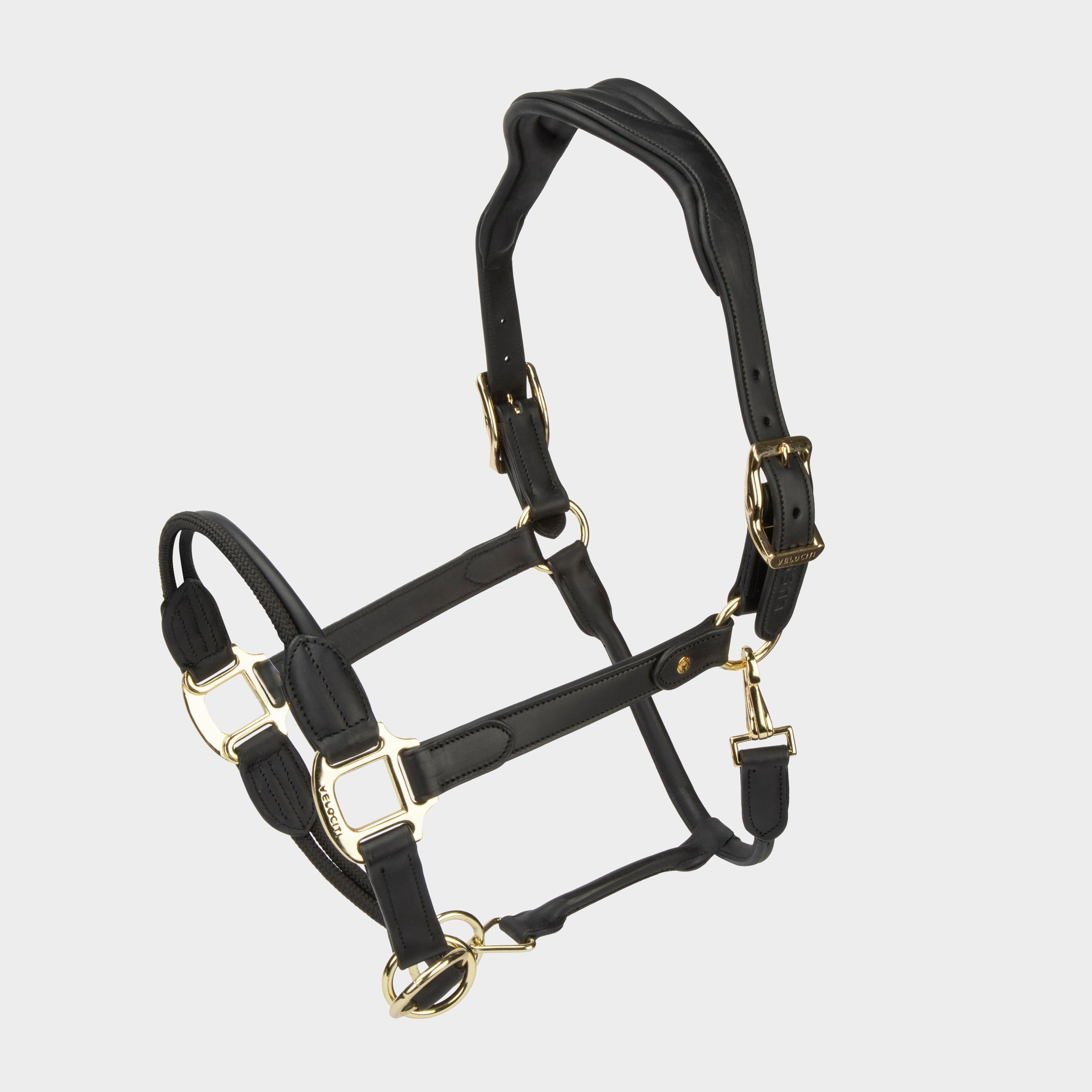 Lusso Soria Control Leather Headcollar Black
