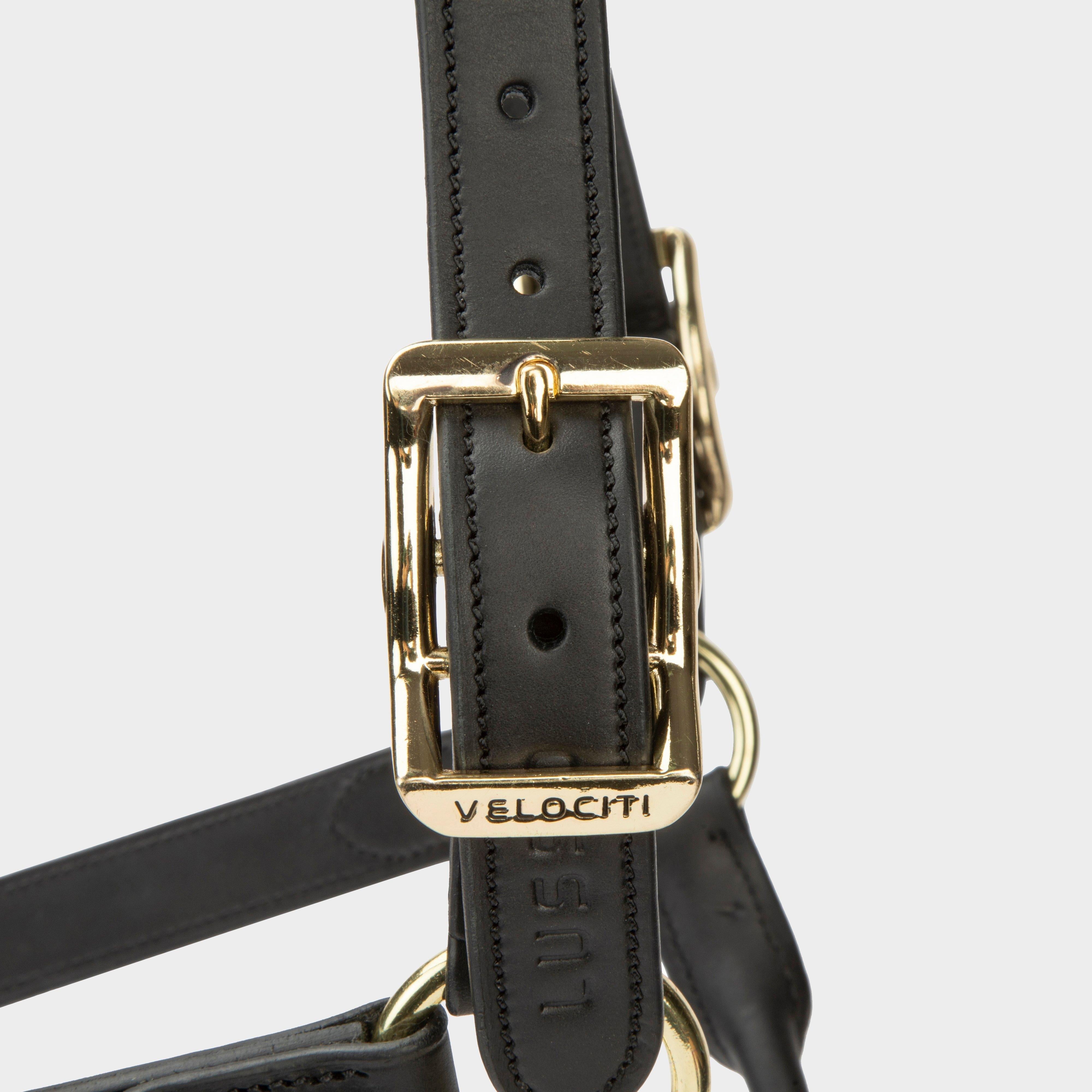 Lusso Soria Control Leather Headcollar Black