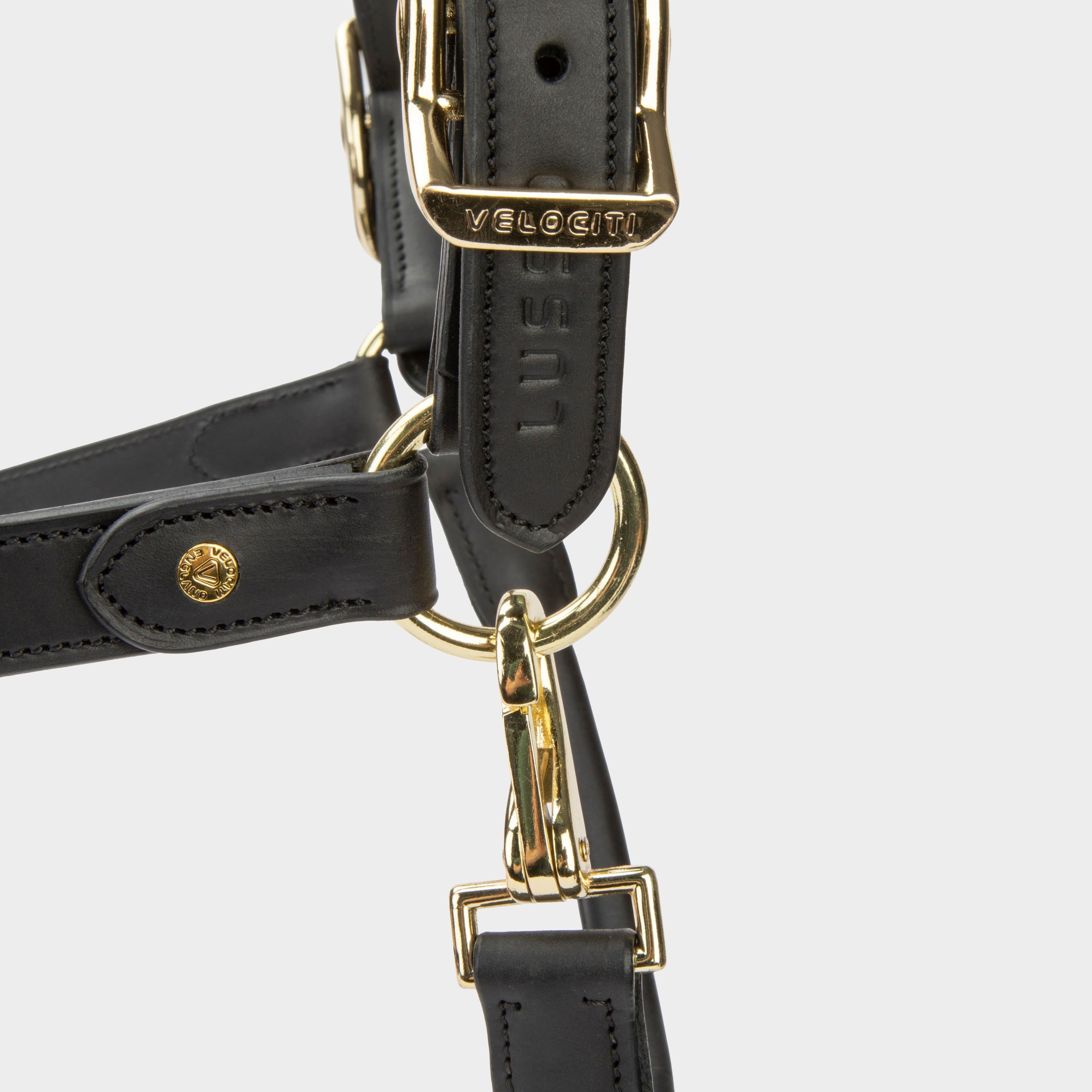 Lusso Soria Control Leather Headcollar Black