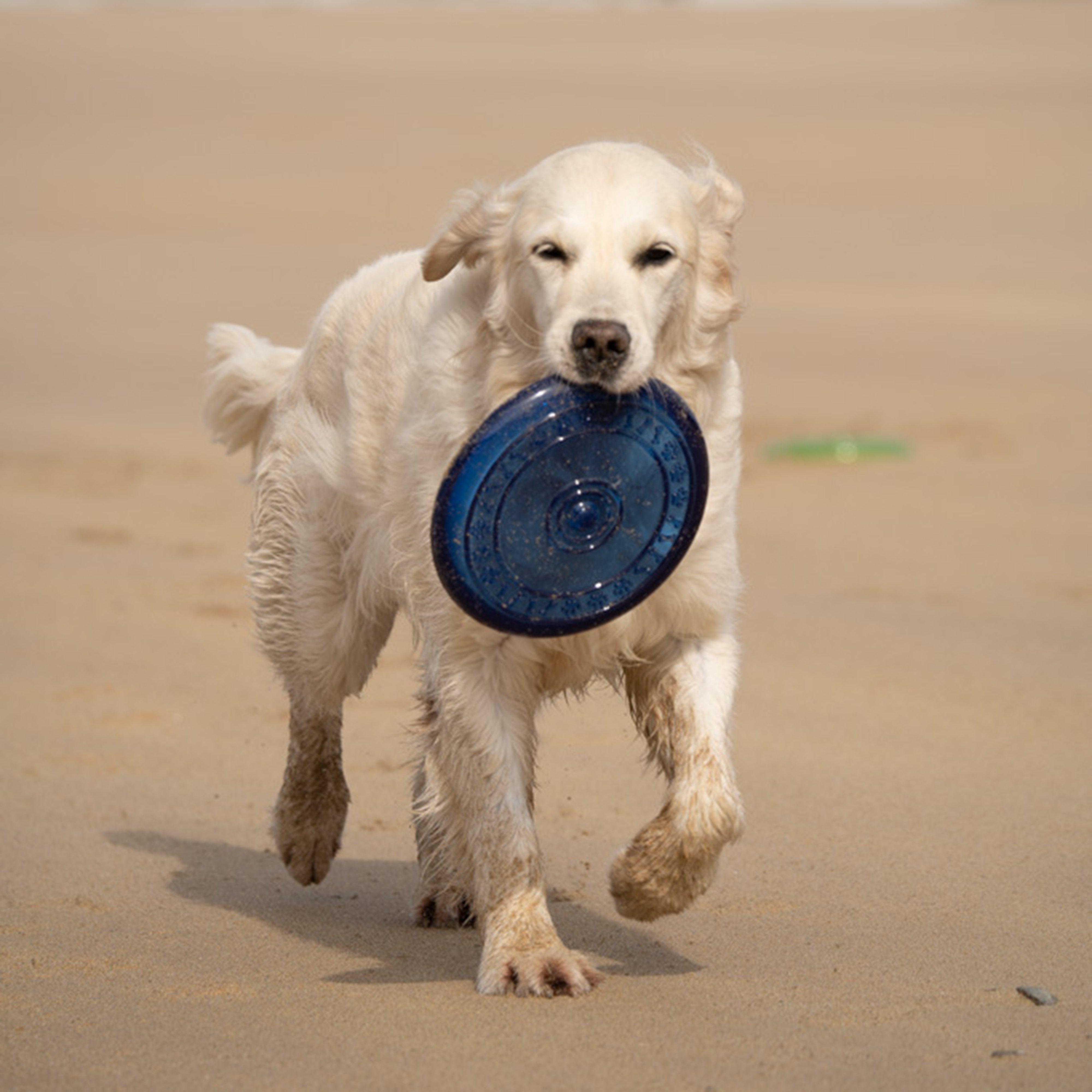 TPR Frisbee Dog Toy