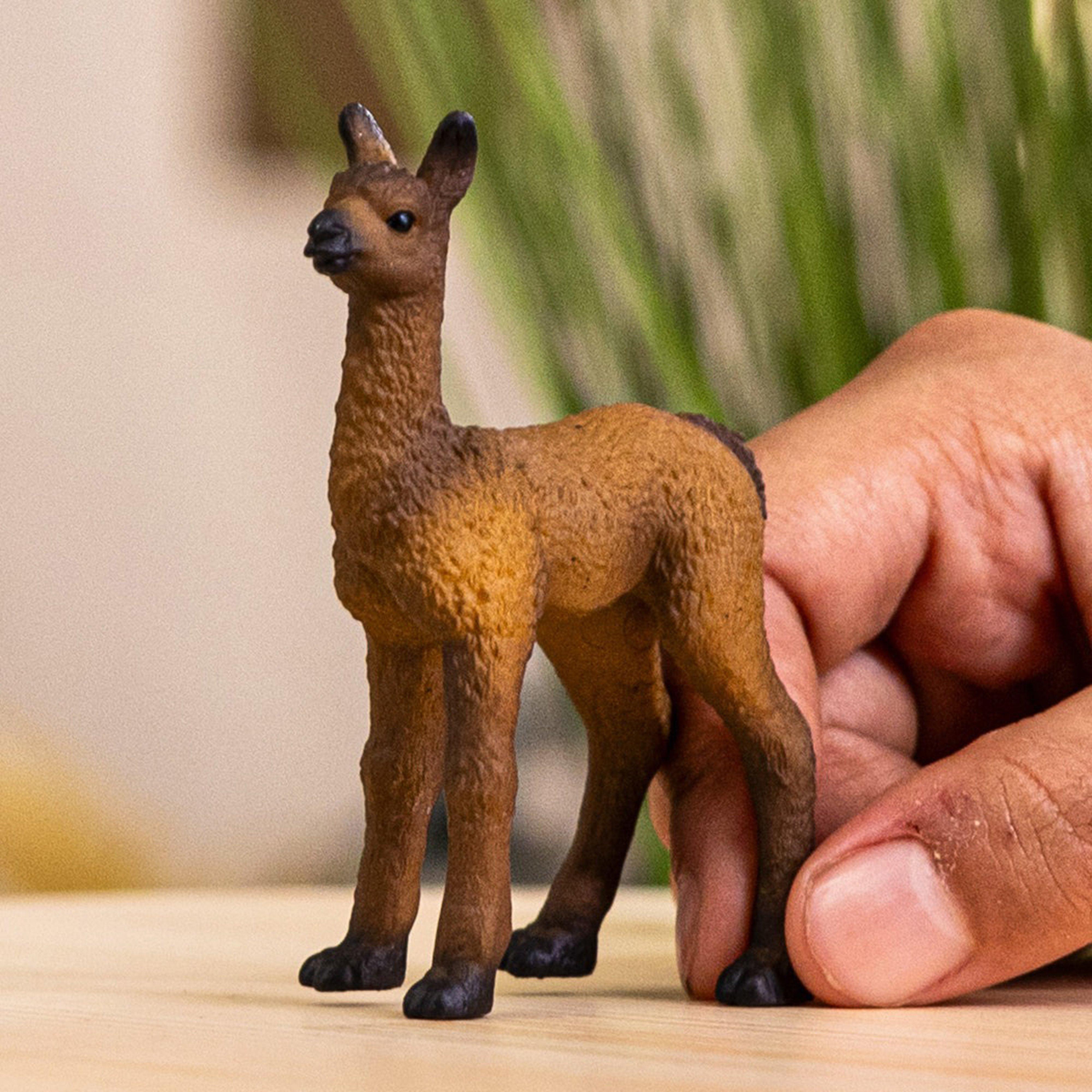 Llama Foal