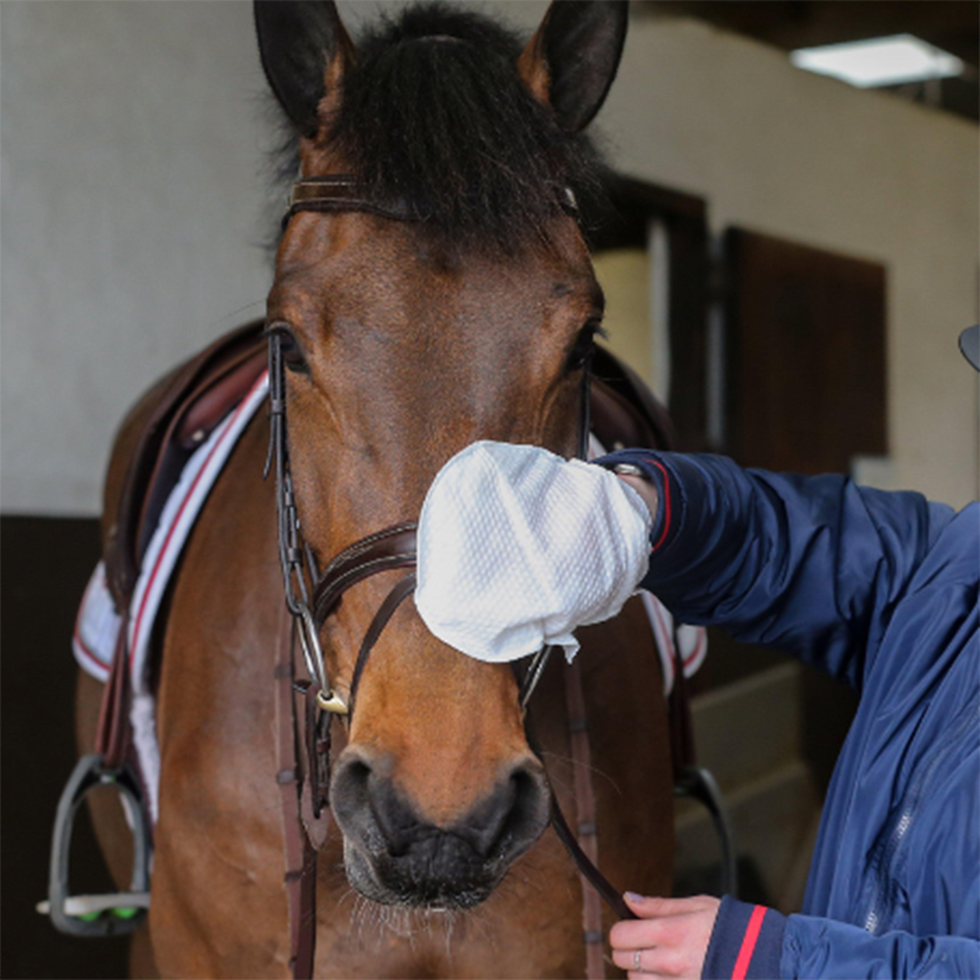 Belvoir® Tack Cleaner Mitts