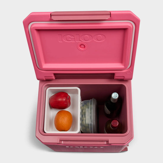 Tag Along 20 Quart 360 Spinner Cooler