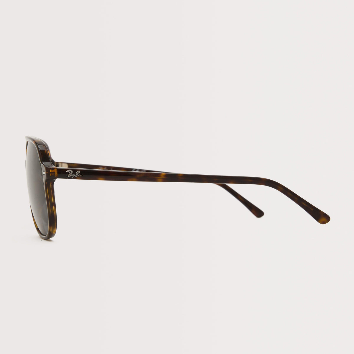 Bill Sunglasses