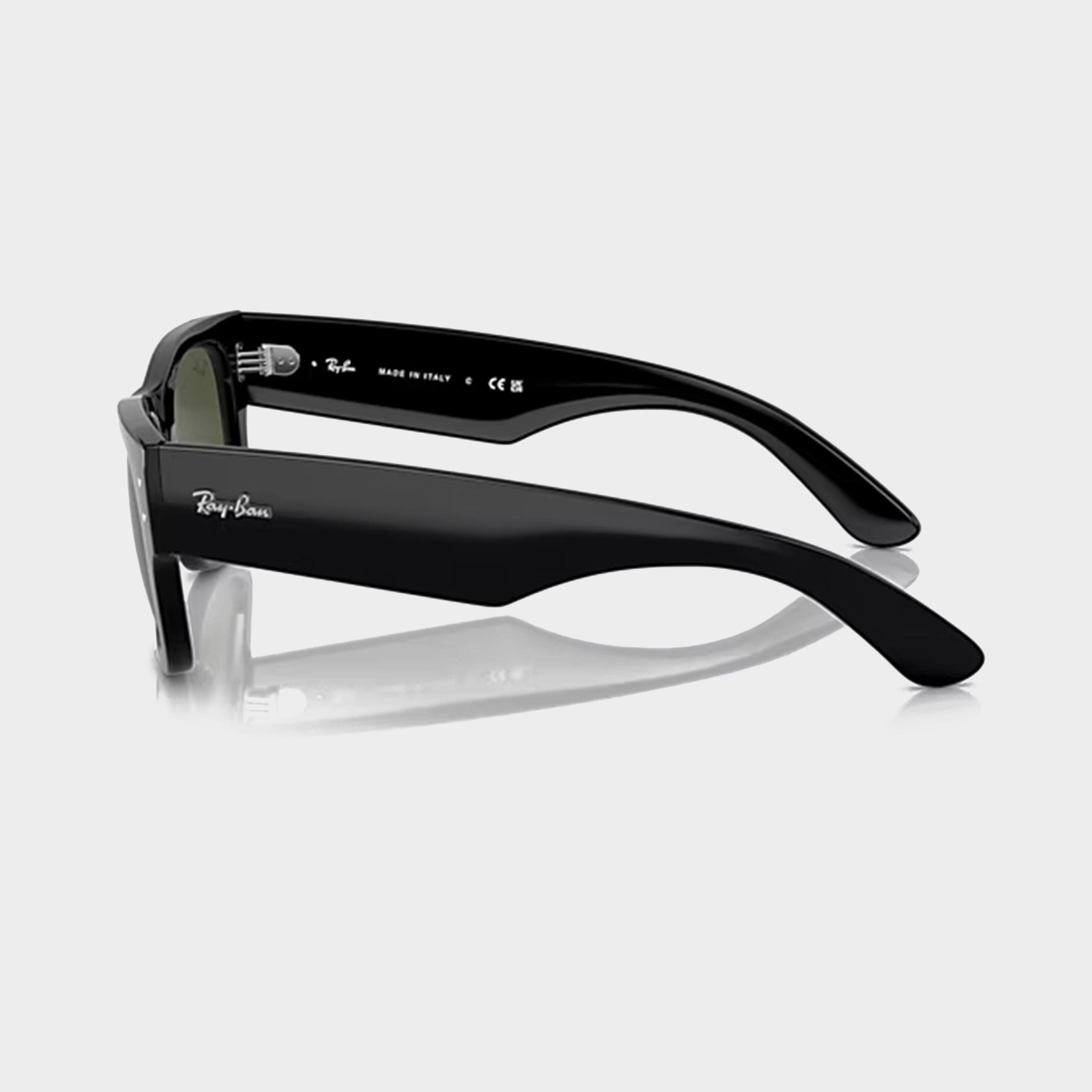 Mega Wayfarer Sunglasses