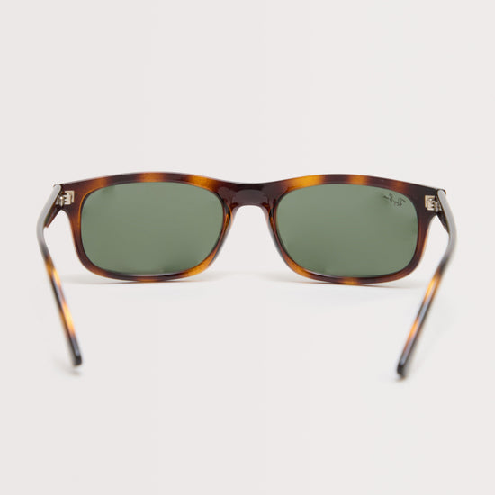 RB2224 Sunglasses