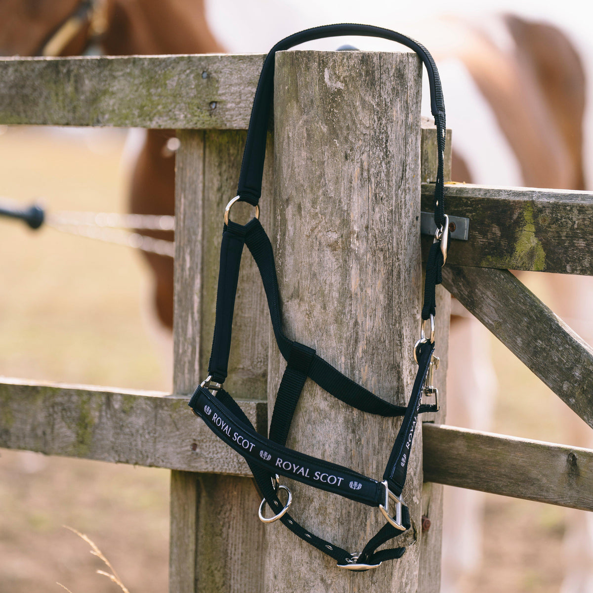 Logo Headcollar