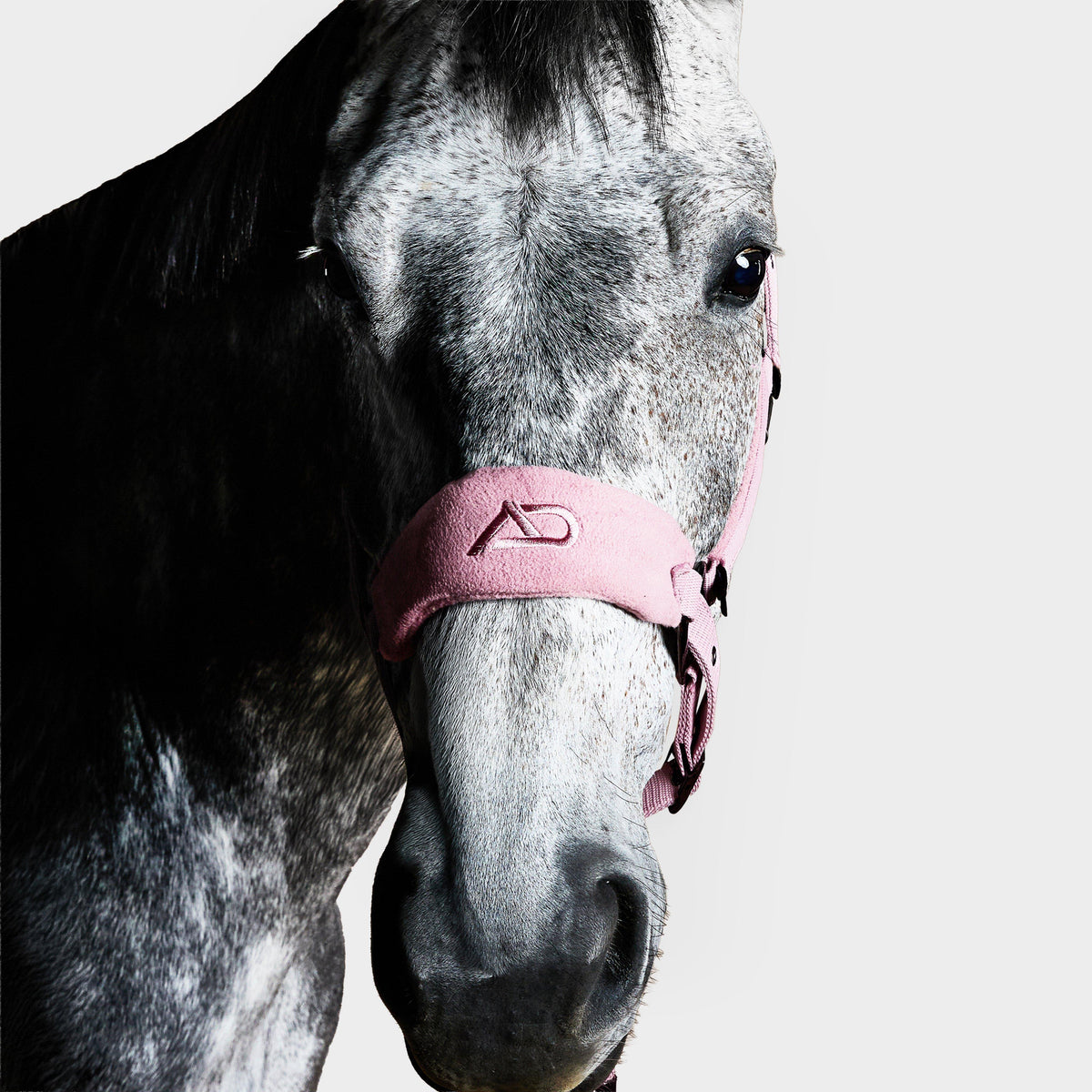 Head Collar