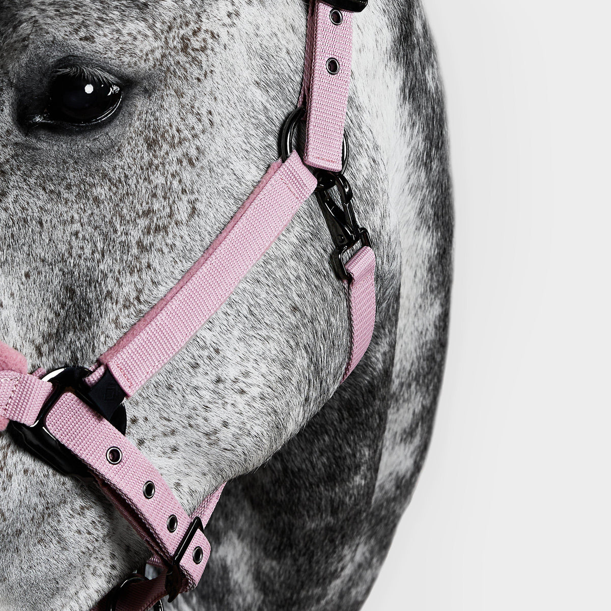 Head Collar