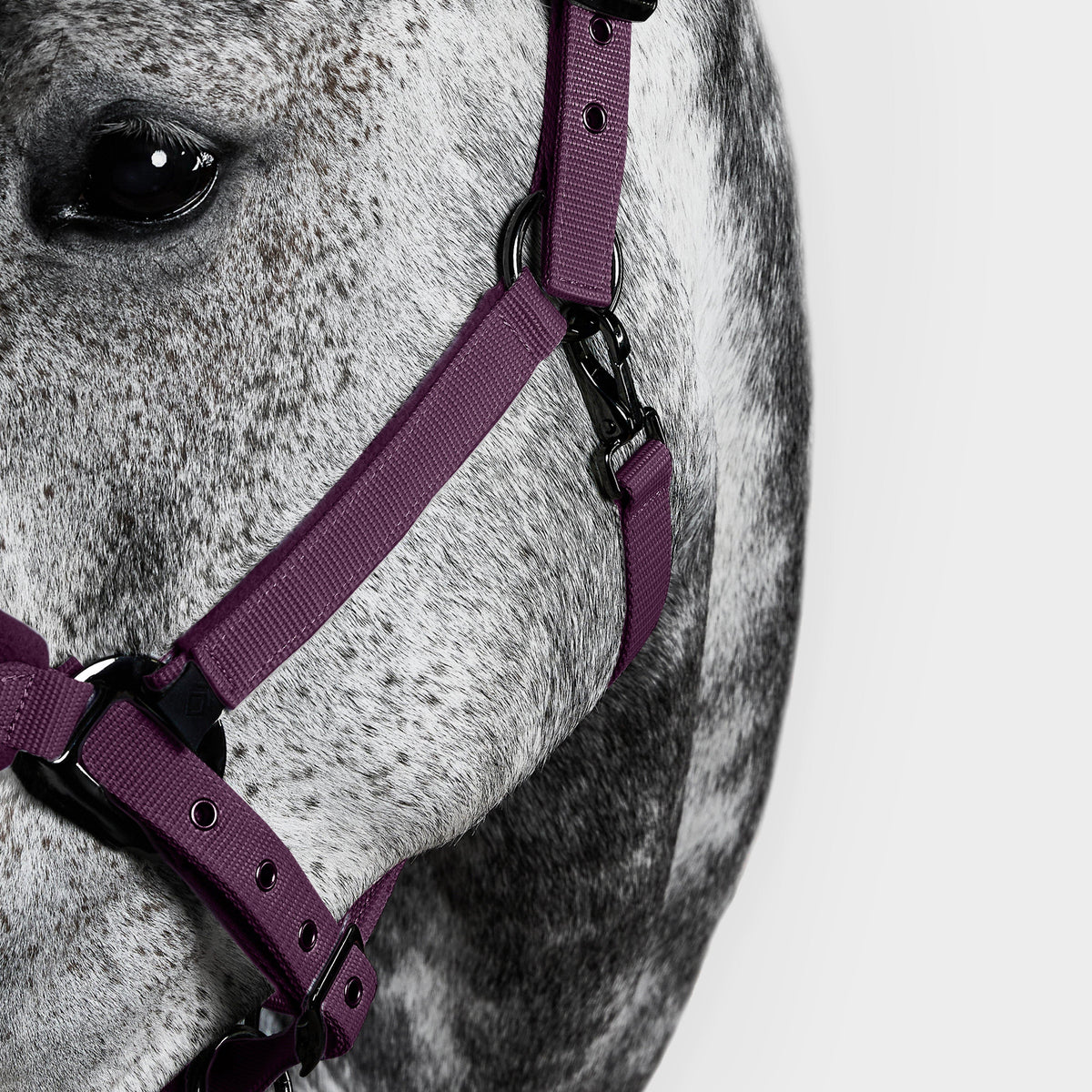 Head Collar