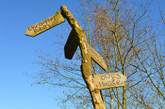 Storied Locations: 100 Acre Wood