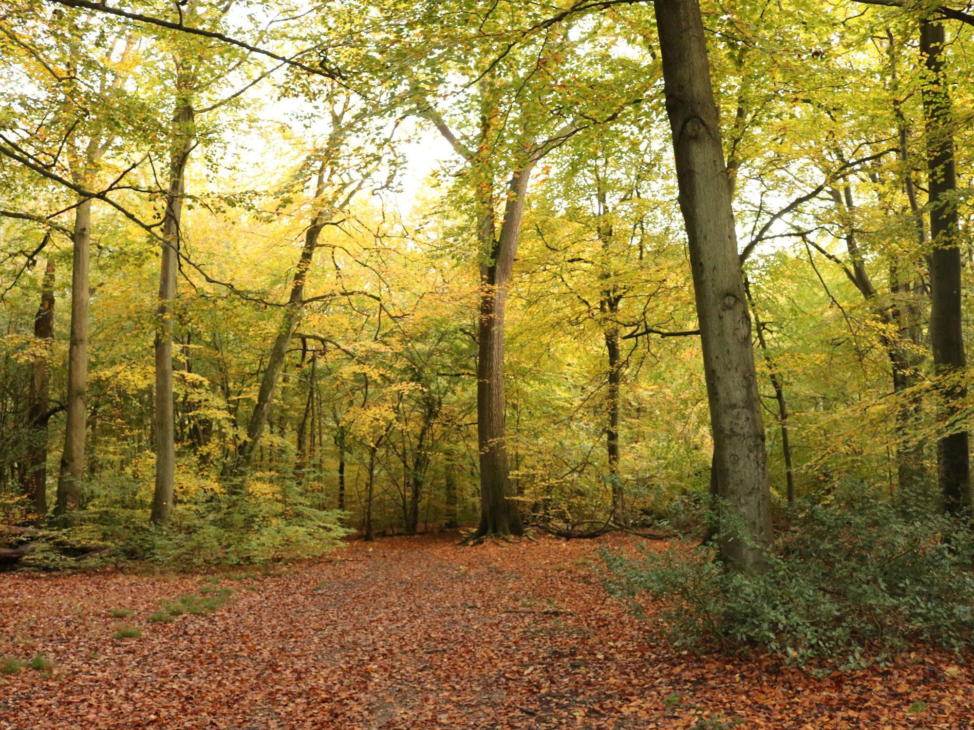 Top 5 Places to Camp in the UK