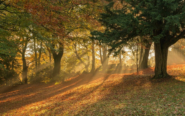 10 Family Activities to try in Loch Lomond & Trossachs