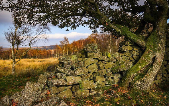 Insulation for Less with Hi Gear this Winter