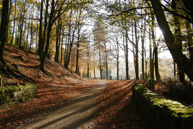25 Reasons to Fall for Autumn