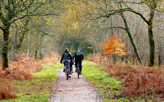 Mountain Biking in Forest of Dean