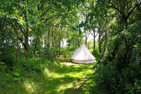 5 Woodland Campsites to Try in the UK