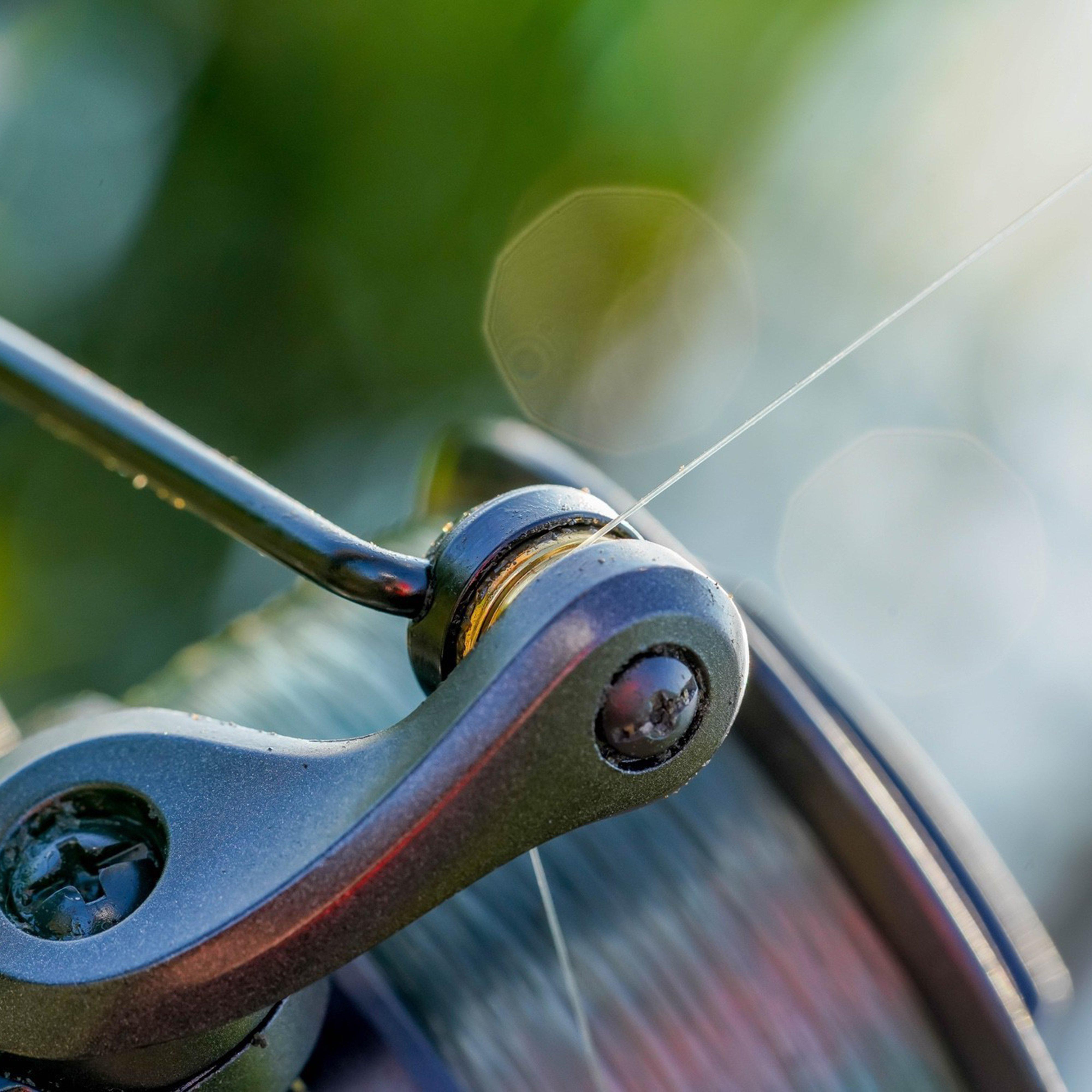 Fish Care: Releasing Fish Safely