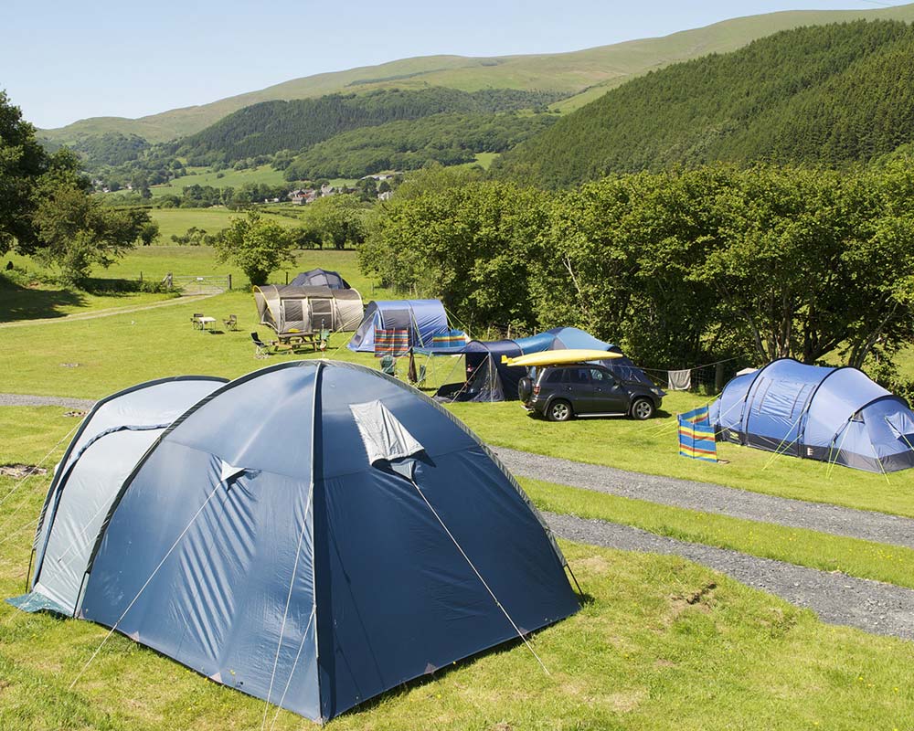 Top Celebrity Camping Companions