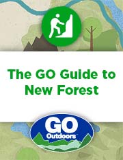 50 Reasons to Visit New Forest National Park