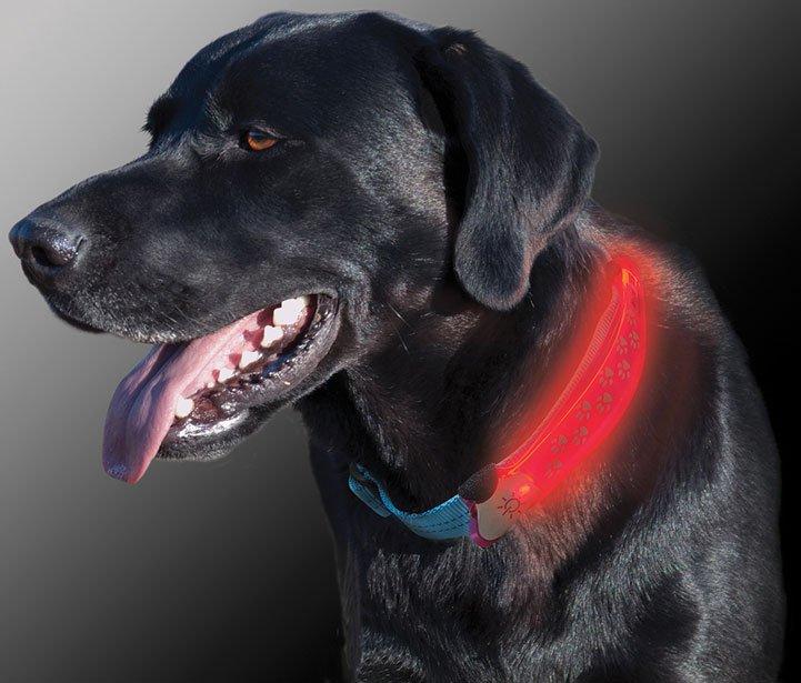 Dawg LED Collar Cover (Grey)