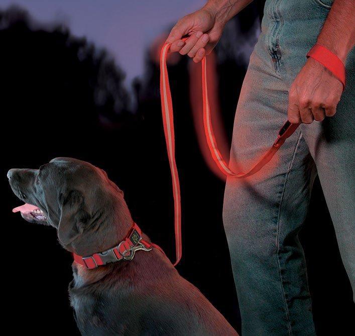 Nite Dawg - LED Pet Leash
