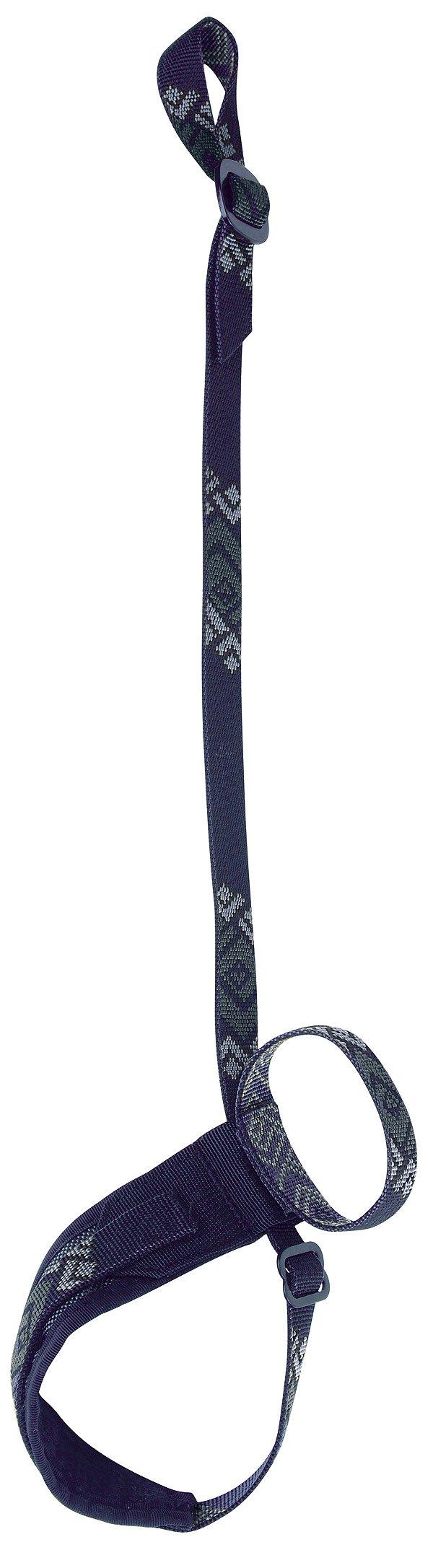 Lockdown Leash